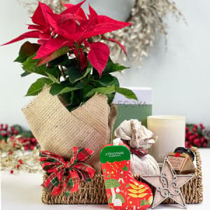 Christmas Basket with Poinsettia, Candle & L`OCCITANE Gift Set Delivered Sydney