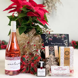 Christmas Gift Basket with Poinsettia, Wine & Chocolate Delivered Sydney