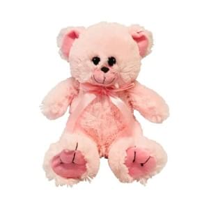 Cute Pink Teddy Bear 20cm Delivered 
