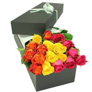 Stunning coloured rose box