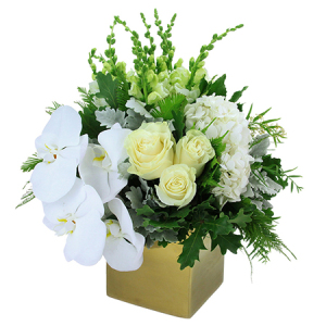 White Gold Boxed Flowers for Christmas Delivered in Sydney
