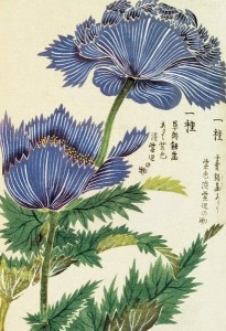 japanese botanical art