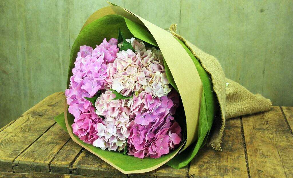 Pink hydrangea bouquet 3