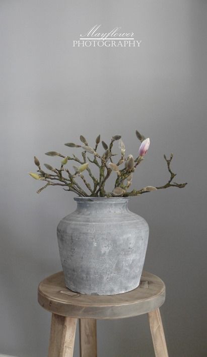 magnolia in vase