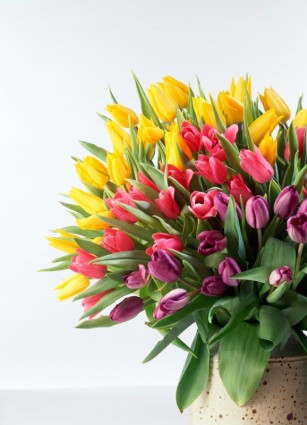 tulip_bouquet